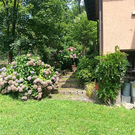 L'Angolino Di Magda: On The Lake-Private Beach! Ghirla 外观 照片